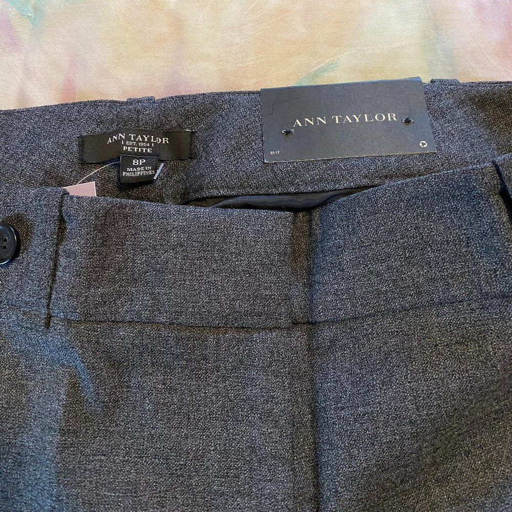Ann Taylor Women's Petite Modern Fit Trouser
